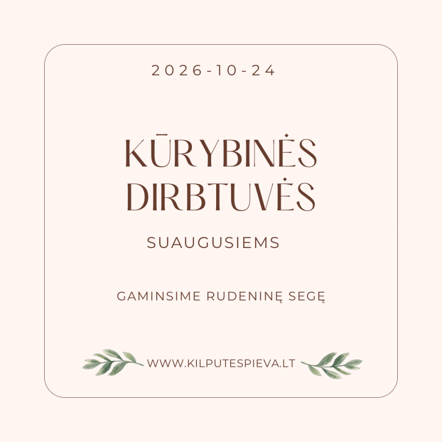 Kūrybinės dirbtuvės SUAUGUSIEMS (10-24d.) Rudeninė segė
